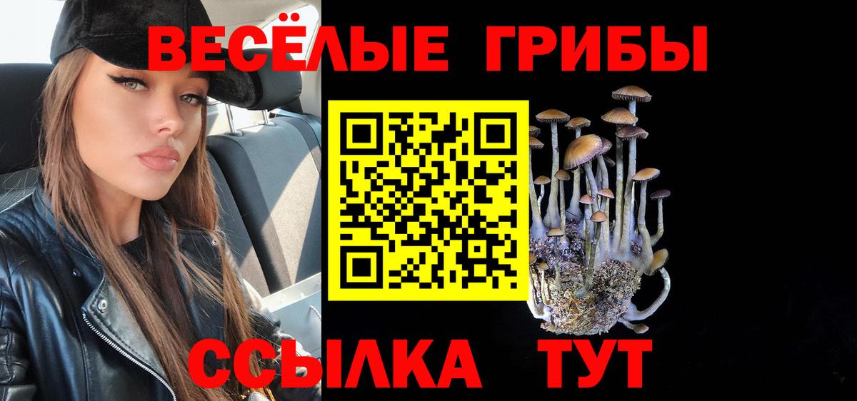 Галлюциногенные грибы мицелий  Вход с VPN  Осинники 